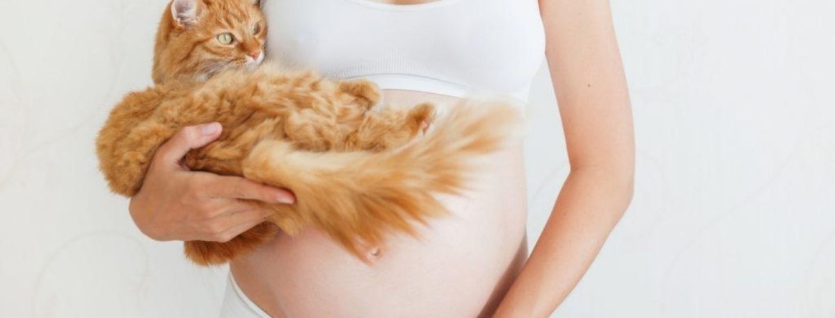Чи можна вагітним прибирати за тваринами?